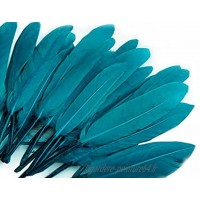 1bag Bleu Canard Décoratif en Plumes de Canard Longueur de 9 à 14 cm de Plumes Et de Featherlets Décorations
