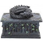 Nemesis Now Boîte à Tarot en résine avec Figurine Dragon Environ 18 cm- Taille Unique Noir