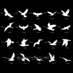 Boao 20 Autocollants Anti-Collision Larges Autocollants d'Oiseau pour Empêchement d’Impact d'Oiseau sur Porte Fenêtre Verre Autocollants de Fenêtre Translucides Poussiéreux Autocollants Anti-Oiseaux