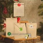 Bluelves Calendrier de l'Avent 2020 24 Sacs Cadeau avec Numéro Etiquettes et 24 Pinces en Bois Sachets en Papier Kraft pour DIY Calendrier de l'Avent à Remplir Soi Meme Décoration de Noël
