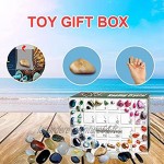 Calendrier de lAvent 2021 Treasure Box Calendrier de lAvent de Noël Boîte-cadeau minérale avec 24 pierres minéraux et pierres précieuses Boîte-cadeau de compte à rebours de Noël pour les enfants