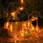 Ninevi Citrouille Chaîne Lumineuse,Guirlande de citrouille pour Halloween 3 m 20 LED ,Halloween Decoration,pour DIY Fête d'halloween