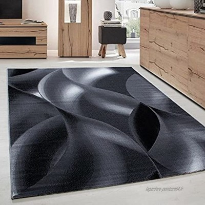 Carpettex Teppich Tapis de Salon Moderne Designe Motif des Vagues Courte Pile Noir Gris 160x230 cm